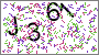 verification image, type it in the box